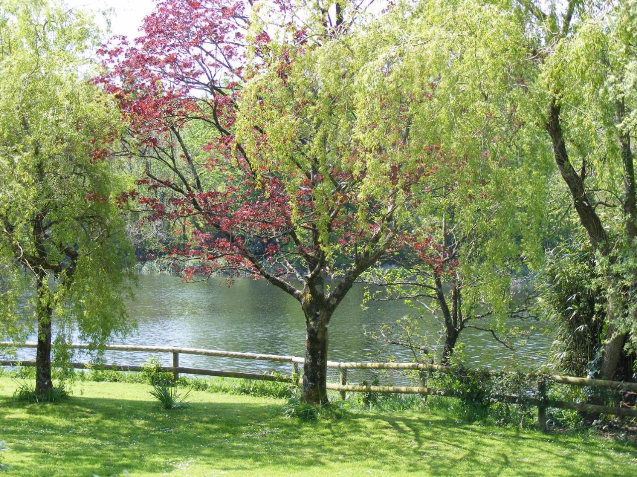 Innishannon House Hotel 外观 照片