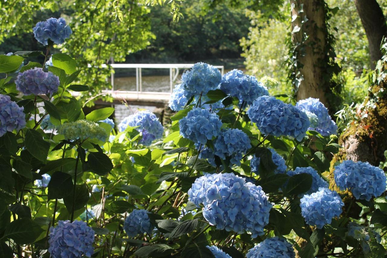 Innishannon House Hotel 外观 照片